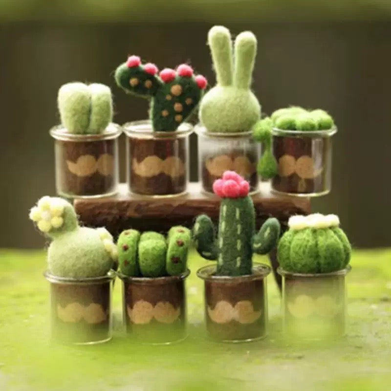 felt succulents kit Succulents Needle Felting Kits