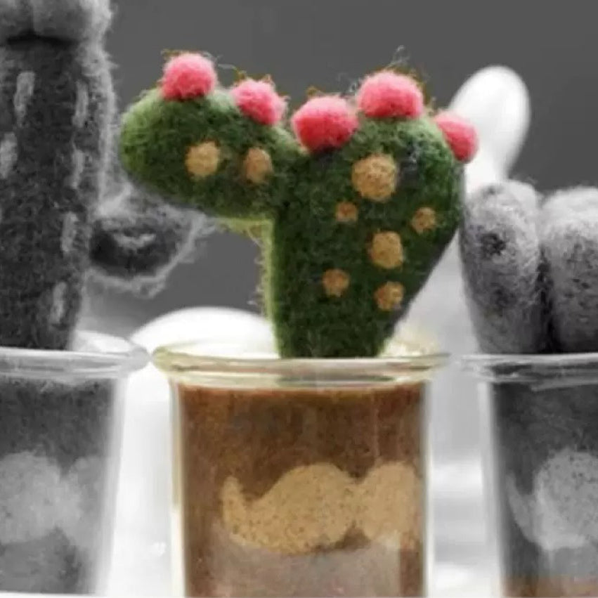 Beginner-Friendly Succulent Needle Felting Kit
