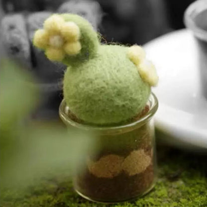 DIY Felt Succulent Kit – Fun Needle Felting Project