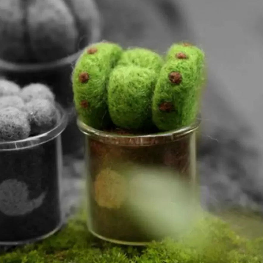 Felt Succulent DIY Kit – Needle Felting Art for Beginners