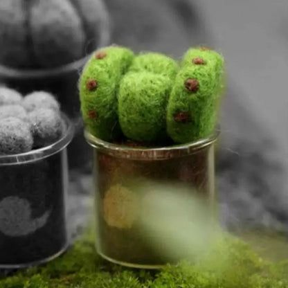 Felt Succulent DIY Kit – Needle Felting Art for Beginners