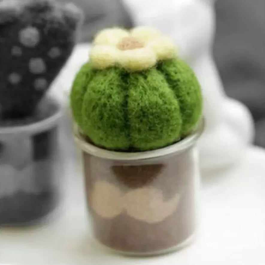 Handmade Felt Succulents – DIY Needle Felting Kit