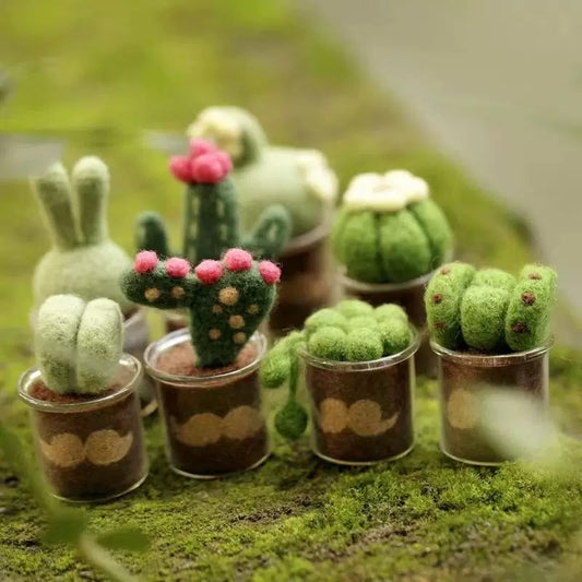 Handmade Succulent Needle Felting Kit for Beginners