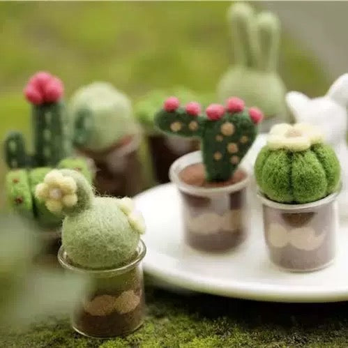 Make Your Own Felt Succulents – Needle Felting Kit