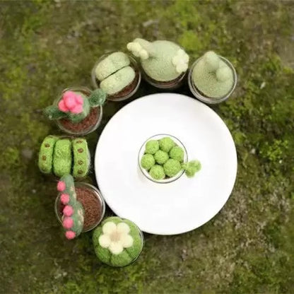 Needle Felted Succulent Kit – Perfect Gift for Crafters