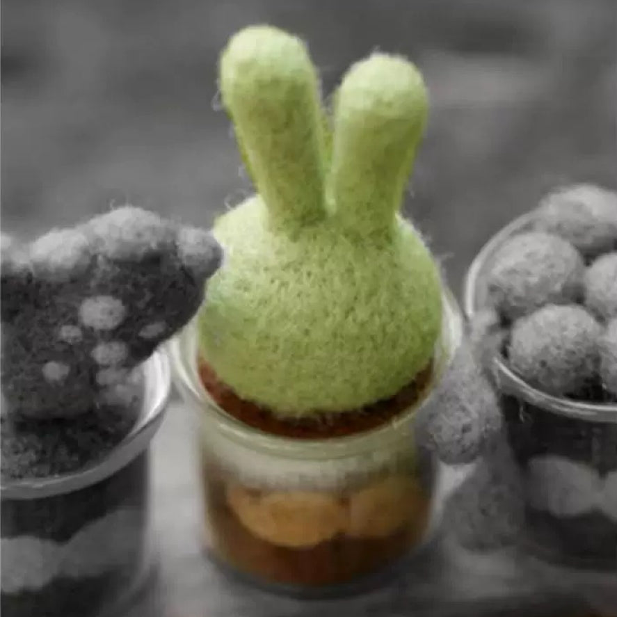 Needle Felting Kit for Succulents – Easy and Fun