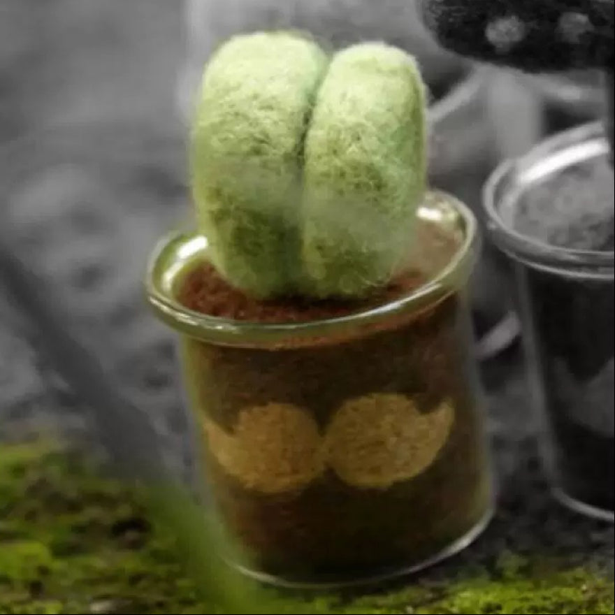 Succulent Needle Felting Kit with Wool and Tools